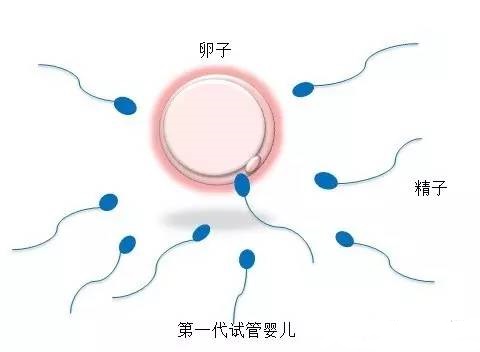 张明华 院长